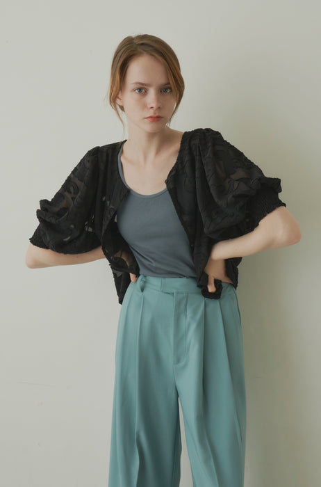 sheer jacquard volume blouse