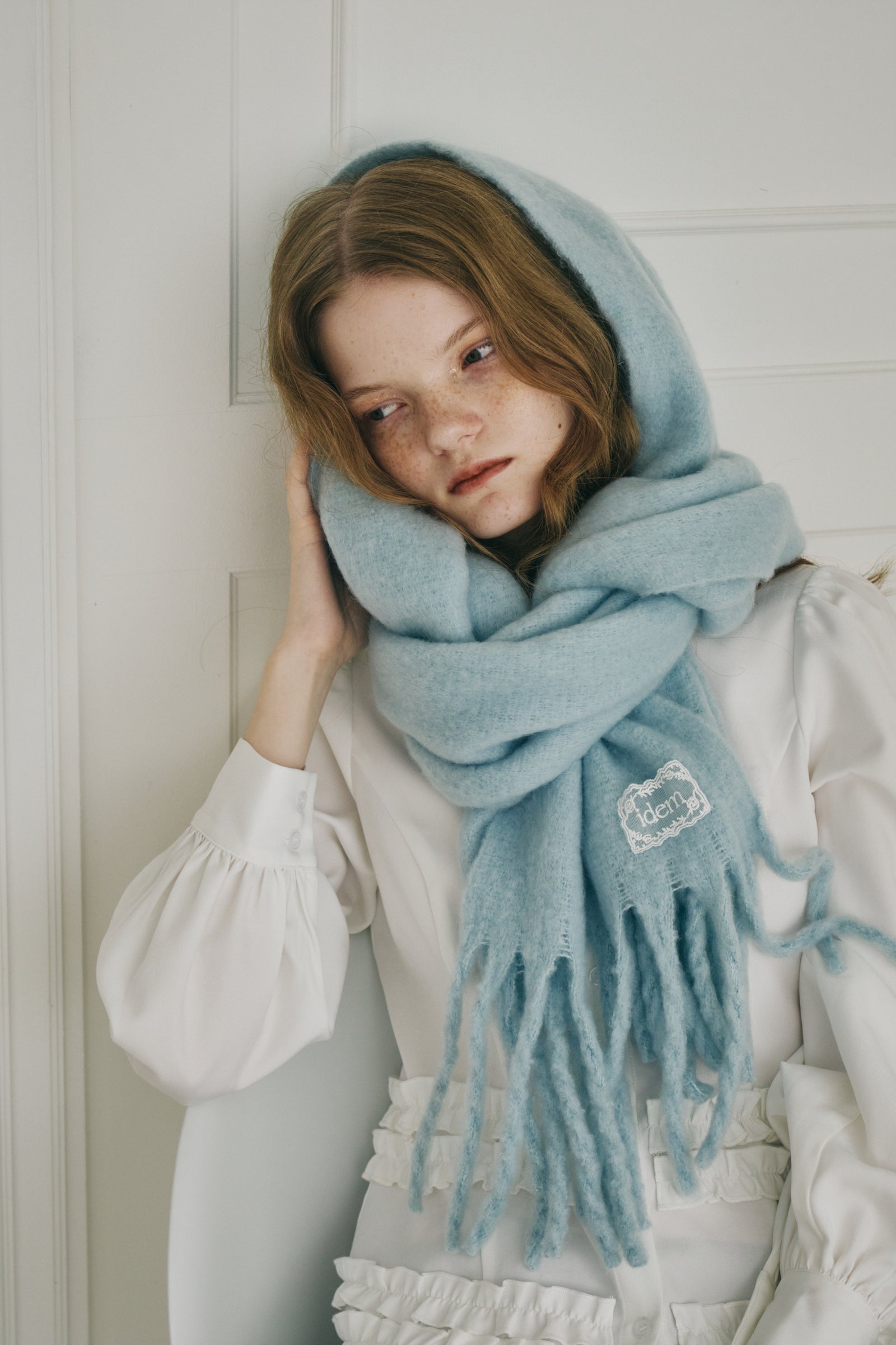 volume fringe muffler – idem