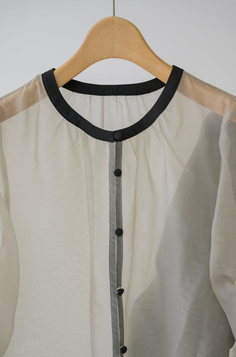 organdy sheer blouse