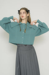 big collar knit cardigan