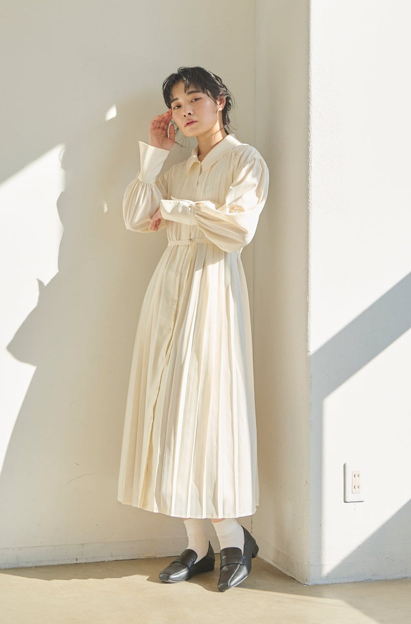 pleats nuance onepiece